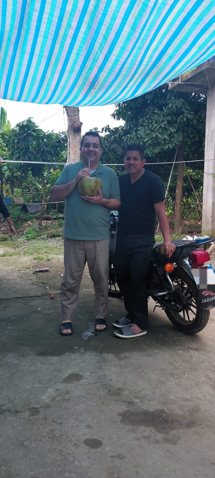 Campaña Fin de Año 2018